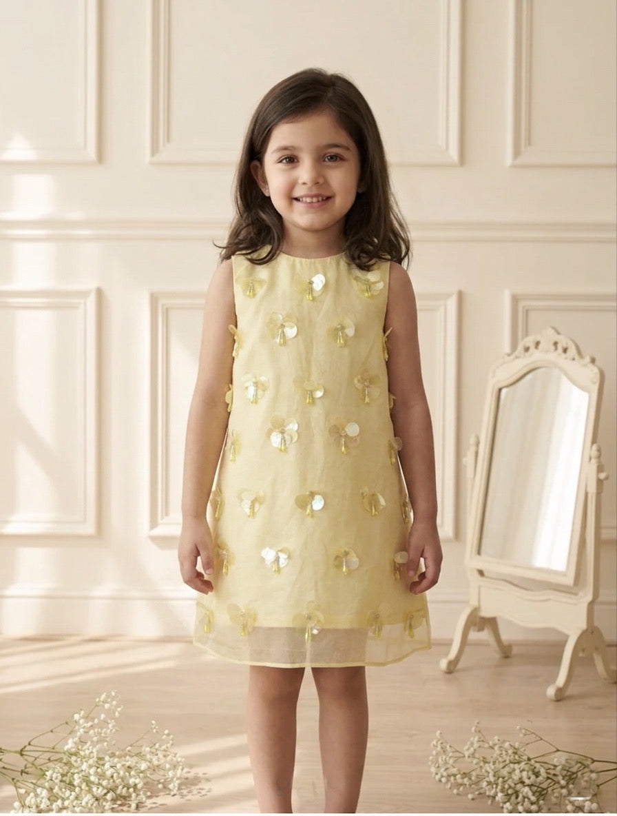 Lemon Citron Sequin Dress
